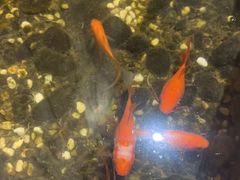 -邈墨茶馆(凤起路店)