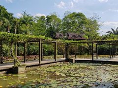 -中国科学院西双版纳热带植物园