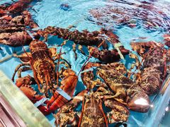 -海蓝海鲜馆(五四北店)