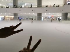 -TheRink大零溜冰场(IFS国金中心店)