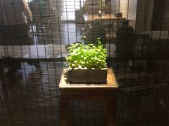 -稍可轩博物馆餐厅