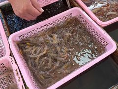 -南沙十九涌渔人码头-南门