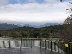 -田野绿世界