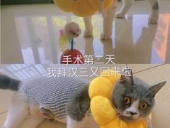 -联合动物医院(光谷诊疗中心)