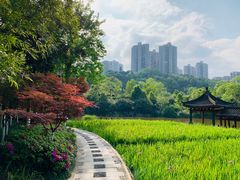 -龙头寺公园