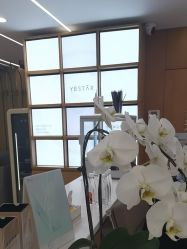 -Yestar艺星整形美容医院