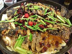 -老板恋上鱼(恒隆广场店)