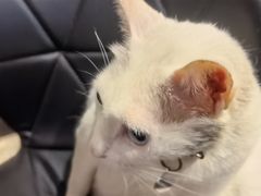 -Doors独立剧情密室(东门分店)