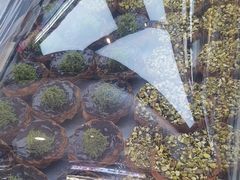 -祥禾饽饽铺·中式糕点(北京来福士店)