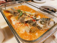 -肥猫(义乌万达店)