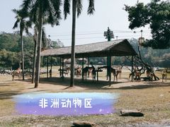 -广州长隆野生动物世界