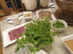 豆苗-牛街·马辈儿涮肉(牛街二店)