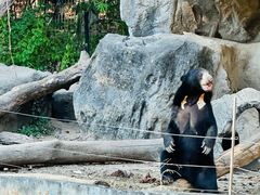 -清迈夜间动物园