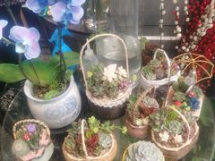-FEI FEI FLOWER鲜花店·气球派对·宝宝宴布置(虹口德必运动Loft店)