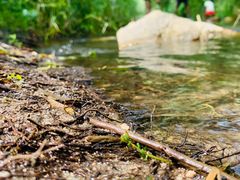 -碓臼峪自然风景区