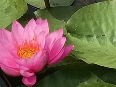 -玄武湖景区-情侣园游乐场