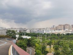-飞凤山奥体公园