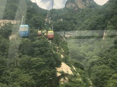 -王顺山国家森林公园