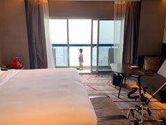 -新加坡瑞士史丹福酒店