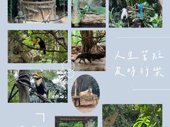 -广州长隆野生动物世界