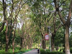 -东莞植物园