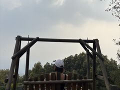 -广州市帽峰山景区