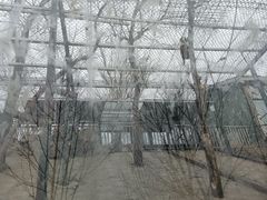 -北京鹿世界主题园