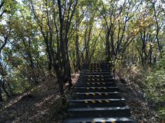 -帽儿山国家森林公园