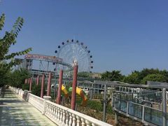 -百万葵园