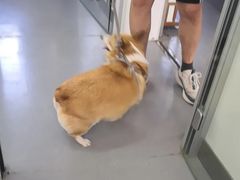 -心仪动物医院·牙专科·肿瘤·心脏科(西客站院)