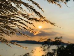 -上海市保健医疗中心