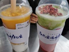 -PINTEA LAB(北京路店)