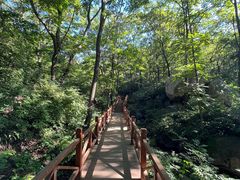 -大岭沟猕猴桃谷风景区
