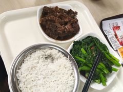 -深圳野生动物园