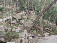 -崂山巨峰游览区