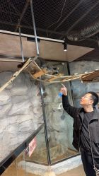 -Zoolung Zoolung动物主题公园(海信广场店)