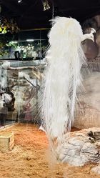 -Zoolung Zoolung动物主题公园(海信广场店)