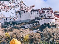 -宗角禄康公园