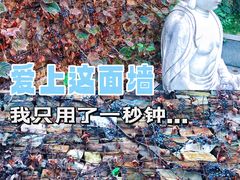 -国际非物质文化遗产博览园