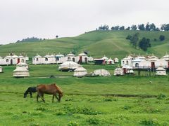 -关山草原
