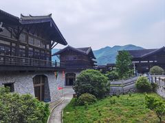 -大唐贡茶院