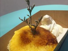 -狐狸和向日葵(北京路店)