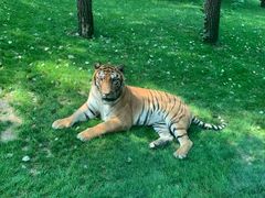 -北京野生动物园