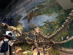 -自贡恐龙博物馆
