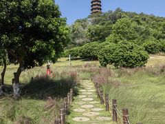 -红花山公园
