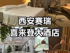 -西安赛瑞喜来登大酒店
