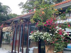 -深圳仙湖植物园