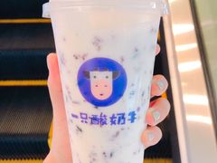 绿豆酸奶紫米露-一只酸奶牛(时代天街A馆店)