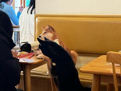 -柴の食堂·日式家庭料理·熊之肆(大学路店)