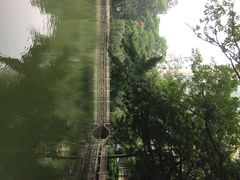 星海公园-星海公园(番禺区)